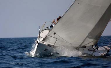 DAILY-SAILING-offer1